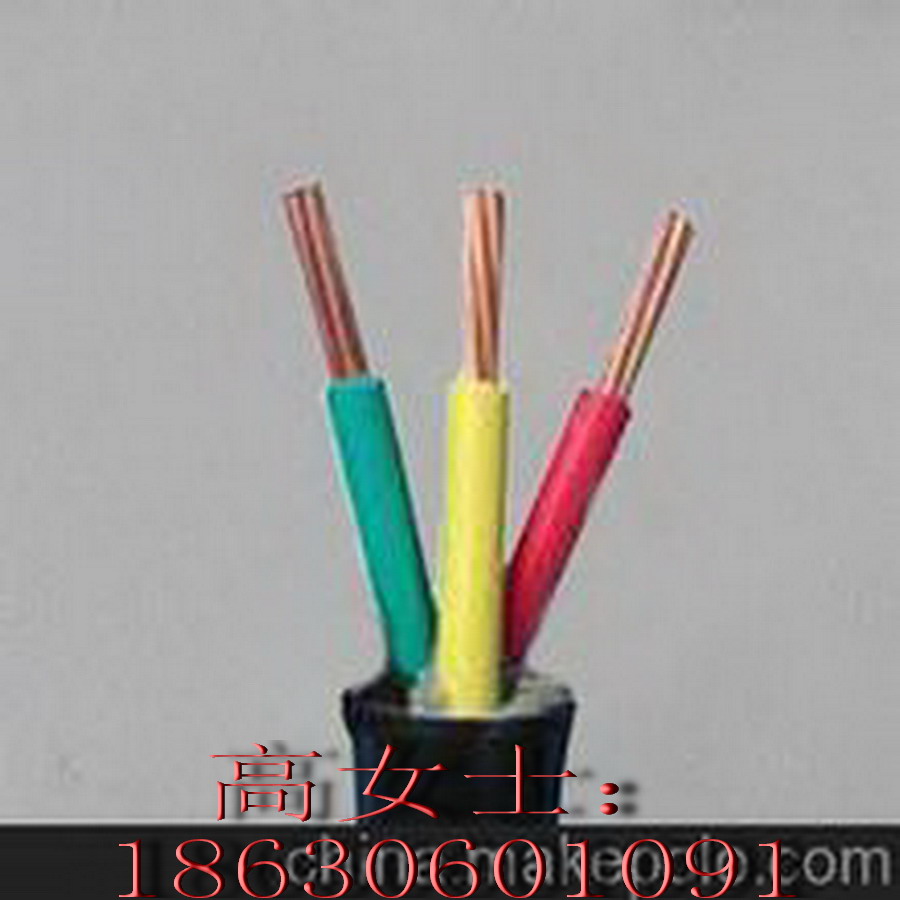 品牌WDZ-YJV 3*4+1*2.5平方電線 讓用電多一份安心