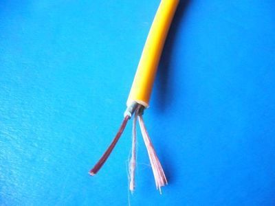 線纜小，安全大 防爆插座電線電纜“國標2X1平方”為何值得信賴？